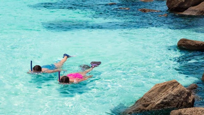 Discover the Magic of Shell Island, Panama City Beach
